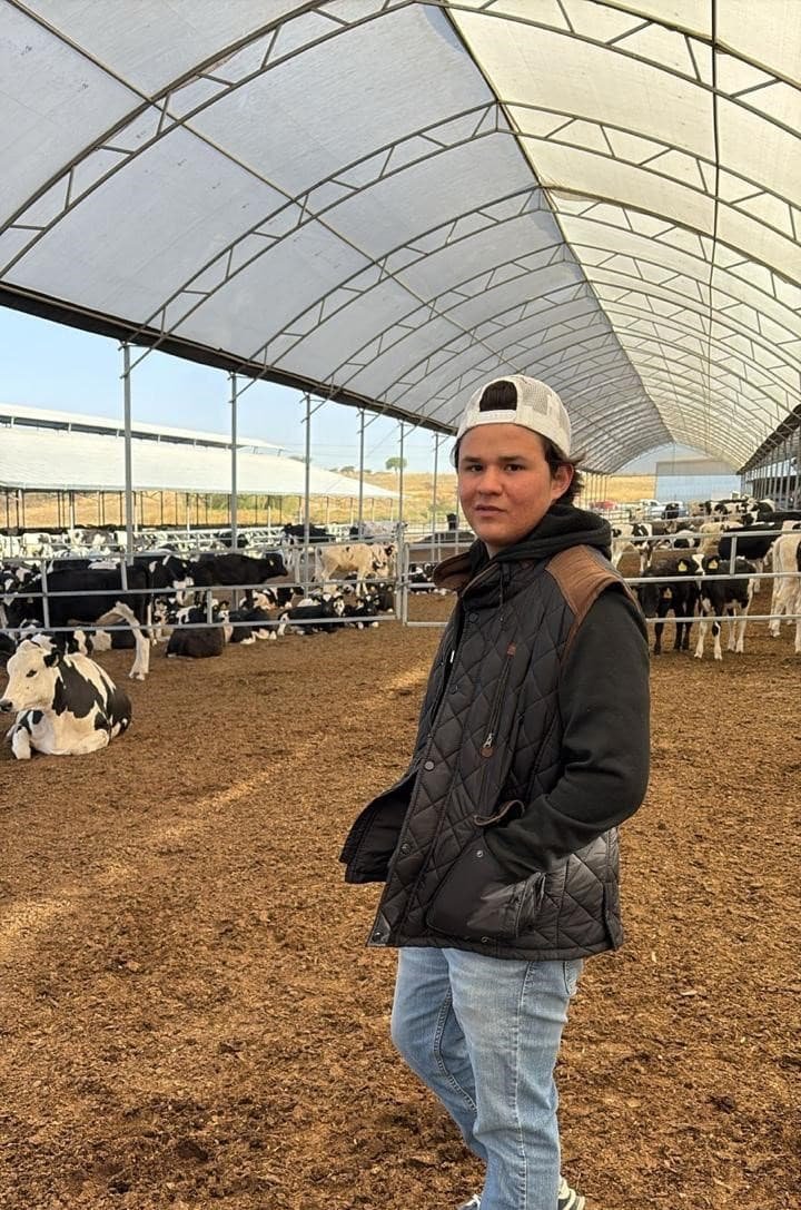 Especialistas en nutrición bovina y rumiantes lecheros